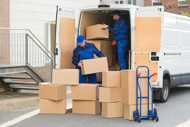 Professional Mover